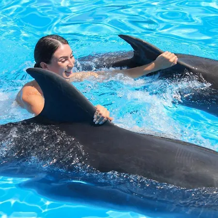 Apartamento Family Holidays With Pool View