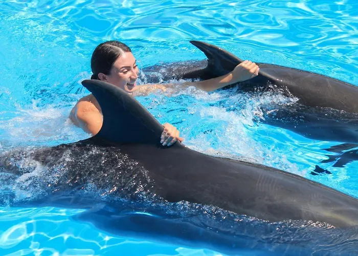 דירה Family Holidays With Pool View